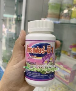 B1 dưỡng hoa nhập khẩu Thái Lan