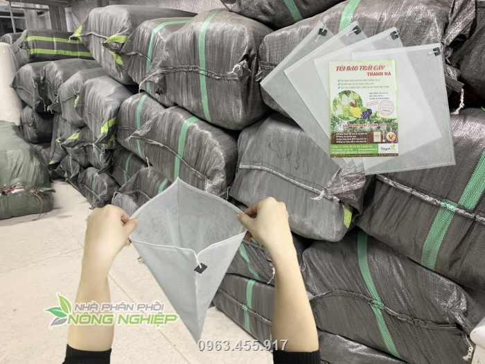 Nhà phân phối nông nghiệp chuyên xuất các đơn hàng lớn túi bao trái trên toàn quốc