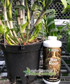 Bio Root 0-1-1 Thuốc kích rễ hữu cơ cực mạnh USA
