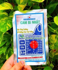 Cách bón phân trung lượng Cam Bi Nhật cho cây trồng 