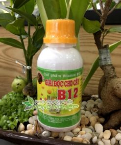 Công dụng của vitamin b12 đối với cây trồng