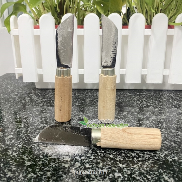 Tay cầm của dao được làm bằng gỗ chắc chắn