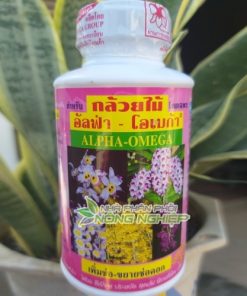 Dung dịch kích hoa cao cấp Alpha Omega Thái Lan