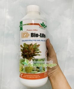 Dung dịch trồng cây thủy canh Bio Life - 1 lít