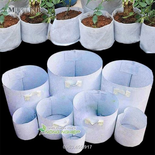 Nhà phân phối Túi vải trồng hoa hồng