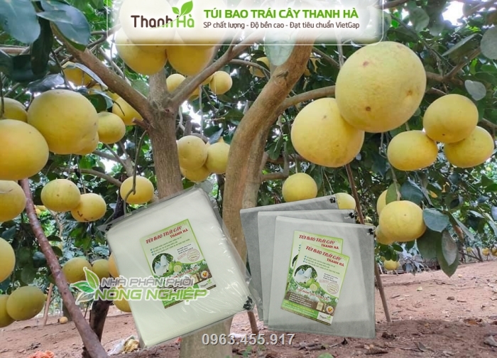 Sản phẩm chuyên dùng để bao bưởi diễn giúp nâng cao chất lượng trái