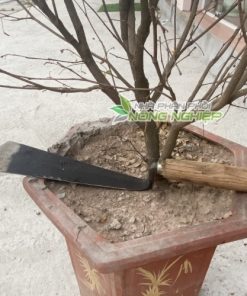 Phân phối Dụng cụ đào bonsai lưỡi gấp