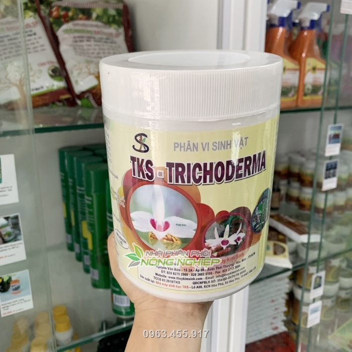 TKS-Trichoderma dưỡng rễ phát triển khỏe mạnh