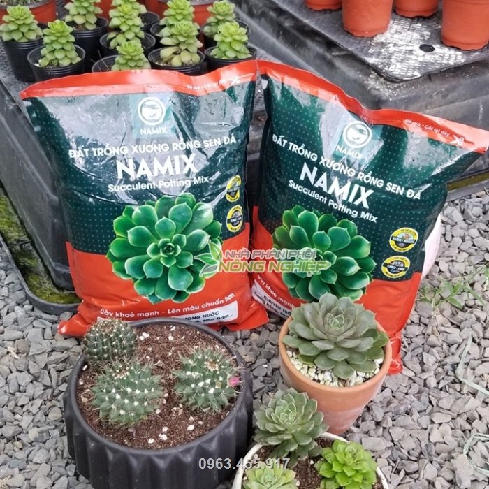 Đất trồng Namix giúp cây khỏe mạnh, lên màu chuẩn hơn