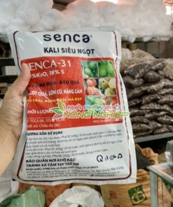 Tăng độ ngọt cho trái cây Kali Senca