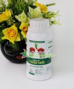 Thuốc bón cho hoa hồng Masinari hồi phục cây đánh bầu