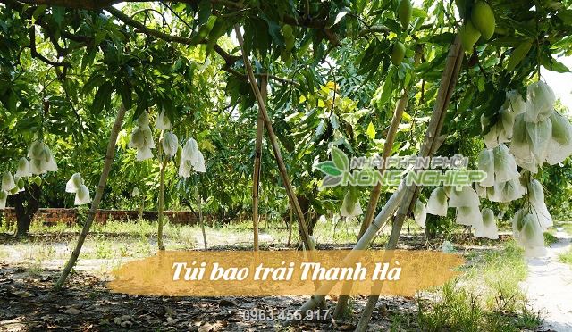 Sản phẩm được nhiều nhà vườn trên toàn quốc tin tưởng sử dụng