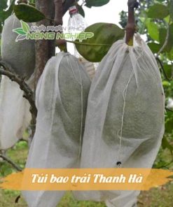 Túi bọc trái cây chống côn trùng Thanh Hà chính hãng kích thước 50x70cm