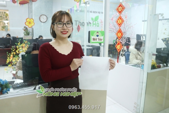 Chúng tôi đảm bảo phân phối túi bao trái Thanh Hà chính hãng